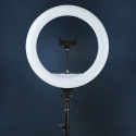 Lampa Pierścieniowa 240W 45cm LED Ring Pilot + Statyw 220cm Makijaż YouTube