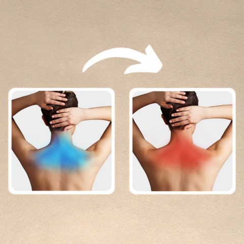 Masażer Karku Shiatsu do Pleców Ciała Szyi Podgrzewany Mocny i Wytrzymały