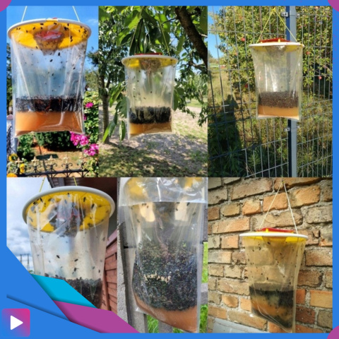 Pułapka na Muchy i Komary z Wabikiem – Worek Bio na Owady, Bez Chemii, 1 szt. ASATO® Pułapka na Muchy i Komary z Wabikiem – Worek Bio na Owady, Bez Chemii, 1 szt. ASATO®
