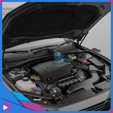 Samochodowy Odstraszacz Gryzoni Kuny Ultradźwiękowy Auto Buzzer LED z Błyskiem 12V ASATO®