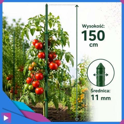 Tyczka Do Roślin 150cm 11mm - 10 szt. Pomidorów Podpora Roślin Tyczki Palik